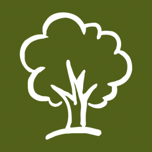 Image of a white tree against a green background