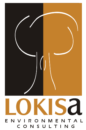 Lokisa